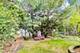 1831 W Greenleaf, Chicago, IL 60626