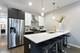 3936 S Indiana Unit 2, Chicago, IL 60653