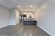 3936 S Indiana Unit 2, Chicago, IL 60653