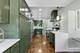 605 Home, Oak Park, IL 60304