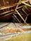 2925 W Eastwood, Chicago, IL 60525