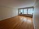 4180 N Marine Unit 703, Chicago, IL 60613