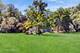 12 Chippewa, Lake Barrington, IL 60010