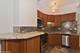 70 E Scott Unit 408, Chicago, IL 60610