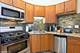 70 E Scott Unit 408, Chicago, IL 60610