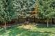 211 Cambridge, Oswego, IL 60543