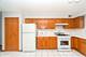 8710 W Evelyn Unit 204, Chicago, IL 60656