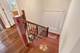 8453 W Bruce, Niles, IL 60714