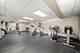 2021 S Wolf Unit 2-118, Hillside, IL 60162
