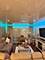 11A Kingery Quarter Unit 202, Willowbrook, IL 60527