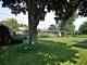 913 S See Gwun, Mount Prospect, IL 60056