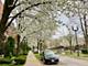 1215 W 33rd, Chicago, IL 60608