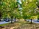 1215 W 33rd, Chicago, IL 60608