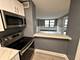 222 E Pearson Unit 1807, Chicago, IL 60611