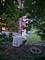 505 Huber, Glenview, IL 60025