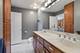 230 Wisner, Park Ridge, IL 60068