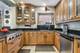 230 Wisner, Park Ridge, IL 60068
