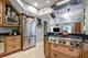 230 Wisner, Park Ridge, IL 60068