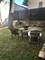 2245 W Shakespeare Unit 2R, Chicago, IL 60647