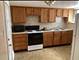 4423 S Indiana, Chicago, IL 60653