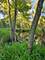 21820 W Railroad, Marengo, IL 60152