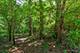 0 Three Oaks, Cary, IL 60013