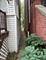 3911 N St Louis, Chicago, IL 60618