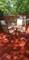 23016 Valley, Richton Park, IL 60471