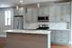 2340 W 21st Unit 2, Chicago, IL 60608