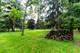 21210 W Lakeview, Mundelein, IL 60060