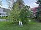 1575 Sage, Gurnee, IL 60031
