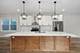 2224 N Nordica, Chicago, IL 60707