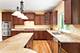 677 Slate Run, Elgin, IL 60124