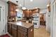 1021 Mobile, Elk Grove Village, IL 60007