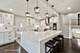 9314 Marmora, Morton Grove, IL 60053