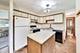 1107 Lela, Schaumburg, IL 60193