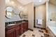 550 N Marion, Oak Park, IL 60302