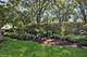 6901 Meadowcrest, Downers Grove, IL 60516