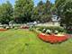740 Dalton, Bolingbrook, IL 60490