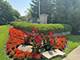 740 Dalton, Bolingbrook, IL 60490