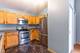 1521 Silverstone Unit 3, Carpentersville, IL 60110