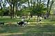 1326 W Central, Mount Prospect, IL 60056