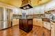 1401 Burr Oak Unit 108B, Hinsdale, IL 60521