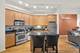 1919 S Michigan Unit 212, Chicago, IL 60616