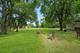 17011 Le Claire, Tinley Park, IL 60477
