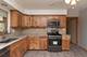 6408 W Raven Unit 1, Chicago, IL 60631