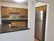 1487 Haverhill Unit C, Wheaton, IL 60189