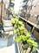 2317 N Neva Unit 106A, Chicago, IL 60707