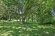 1218 N Randall, Aurora, IL 60506