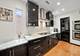 1025 W 31st Unit 2, Chicago, IL 60608